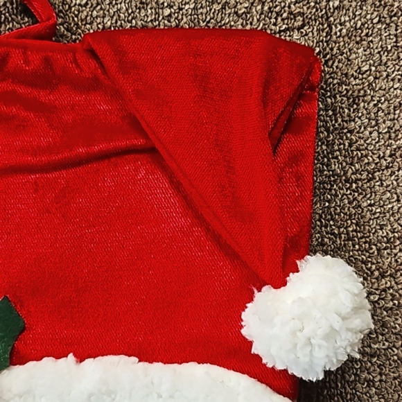 Stocking - Picture 9 of 14